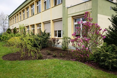 Szkoła Podstawowa nr 2 im. Tadeusza Kościuszki w Prochowicach - budynek