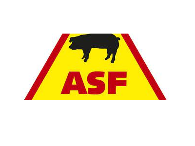 asf- logo