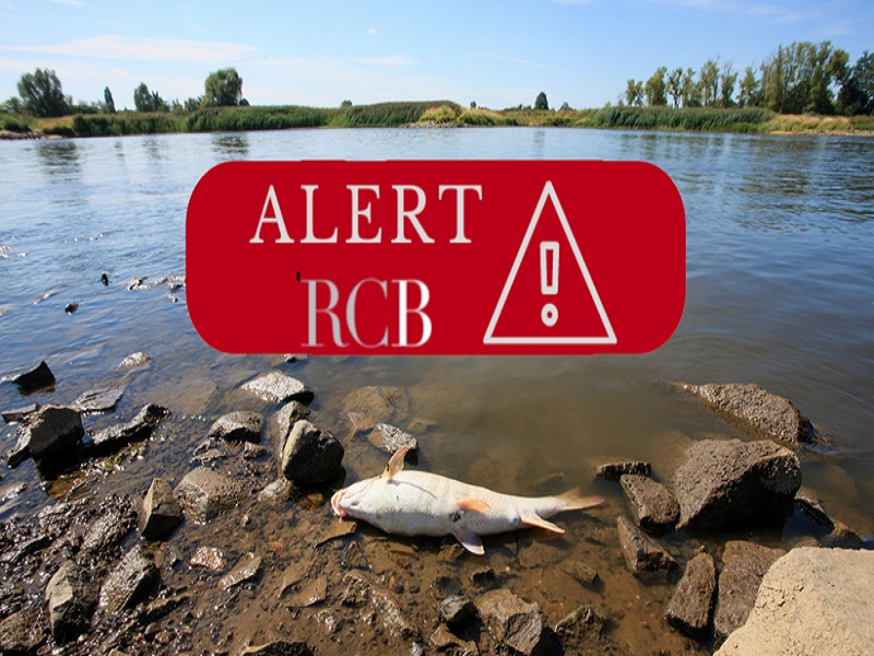 alert RBC