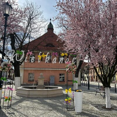 Wielkanoc w Gminie Prochowice
